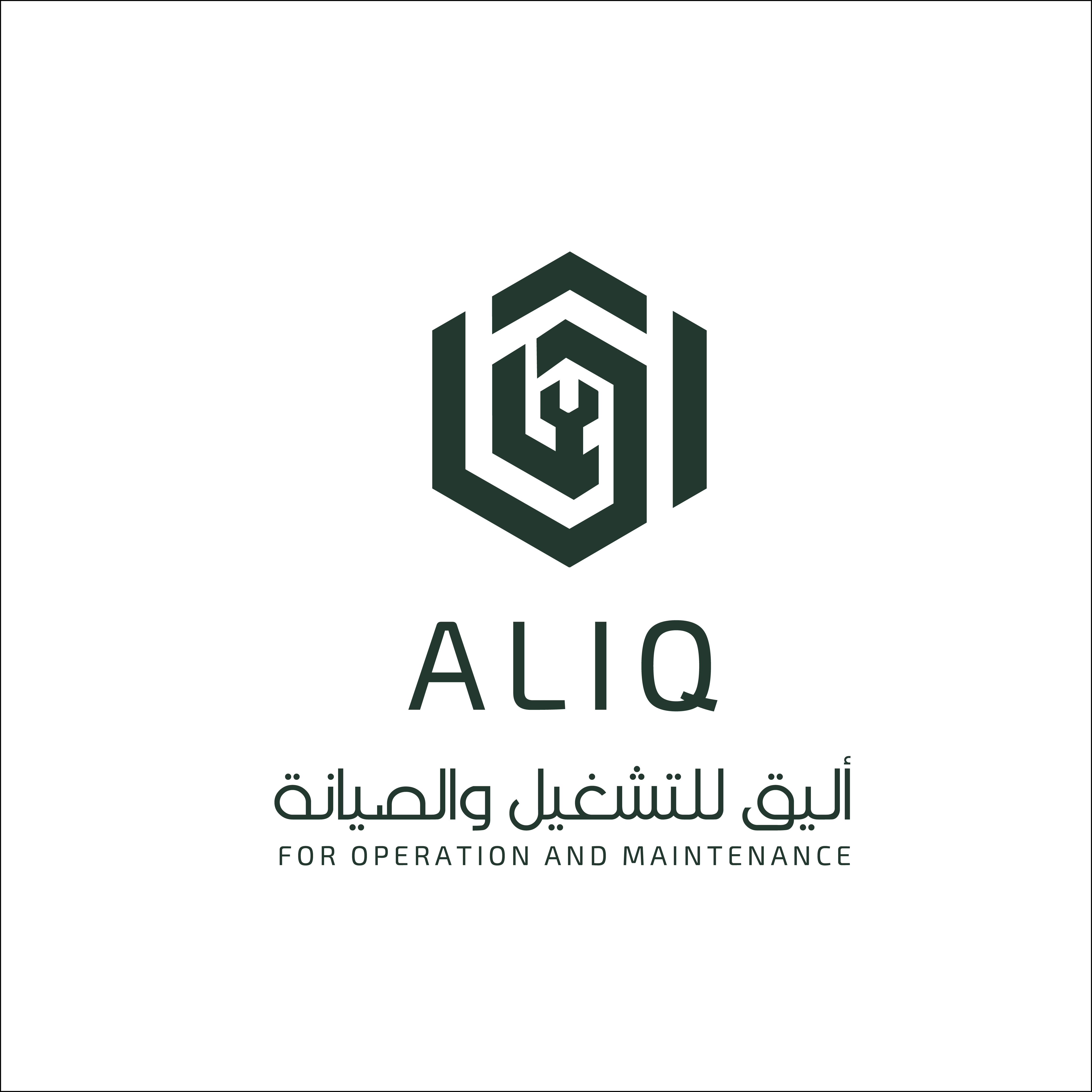الاليق